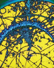 bubble chamber in particle physics